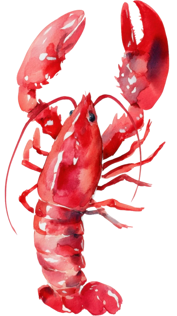 Lobster